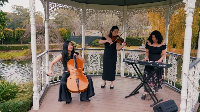 Lavely-Music-wedding-band-string-ensemble-guitar-vocals-DJ-MC-Melbourne