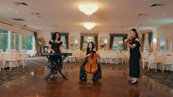 Lavely-Music-wedding-band-string-ensemble-guitar-vocals-DJ-MC-Melbourne