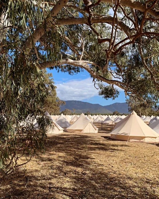 Neutral-wedding-ideas-inspiration-glamping-Happy-Glamper-Hastings