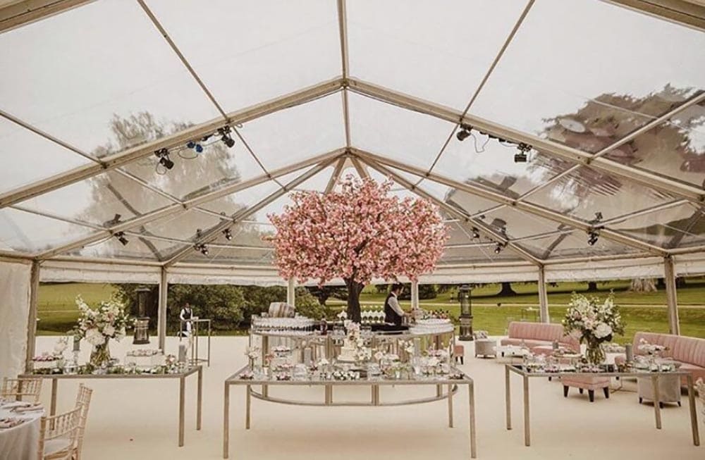 Pink Cherry Blossom Tree for Hire in Melbourne - Decortree