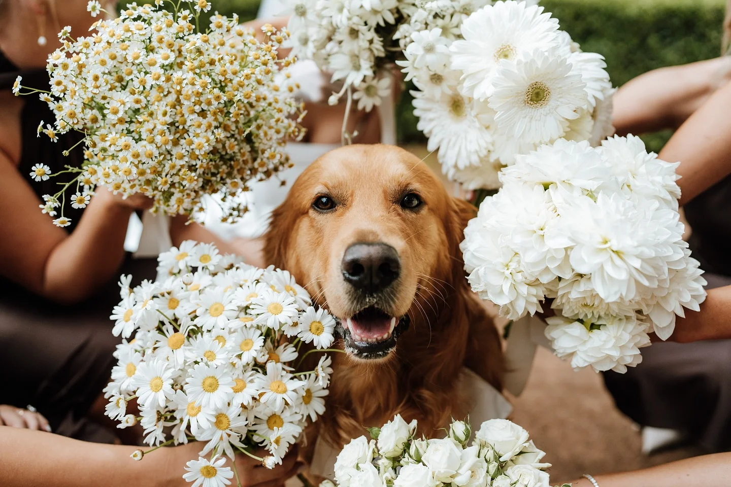 Yellow-wedding-ideas-inspiration-photo-translucent-photography