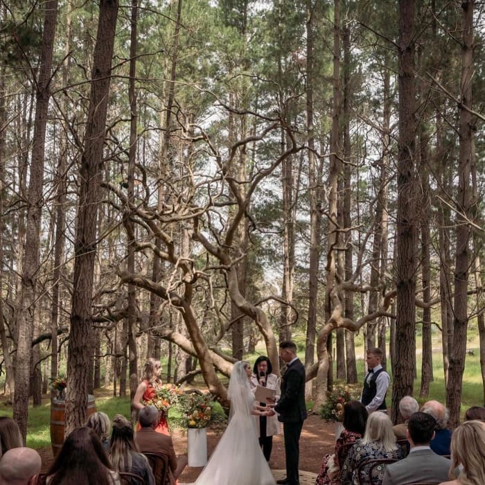 best-14-wedding-ceremony-venues-in-south-australia-sandy-hill-forest-photo-Wedding-Photographer-Glenn-Alderson