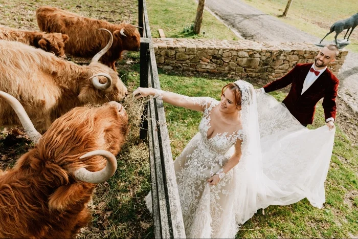 best-wedding-photographer-NSW-2025-Ben-Newnam-Photography-North-Sydney