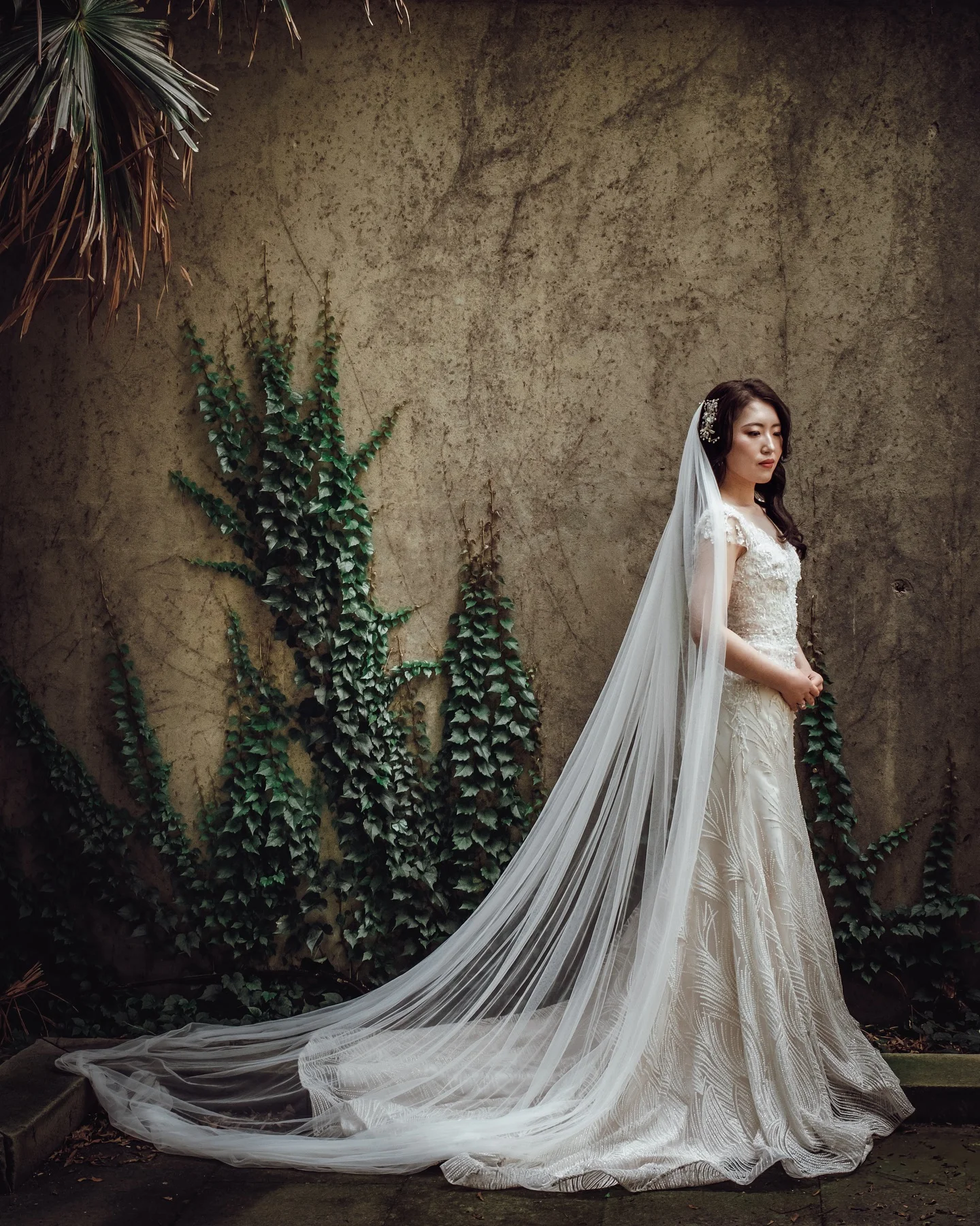 best-wedding-photographer-NSW-2025-Ben-Newnam-Photography-North-Sydney