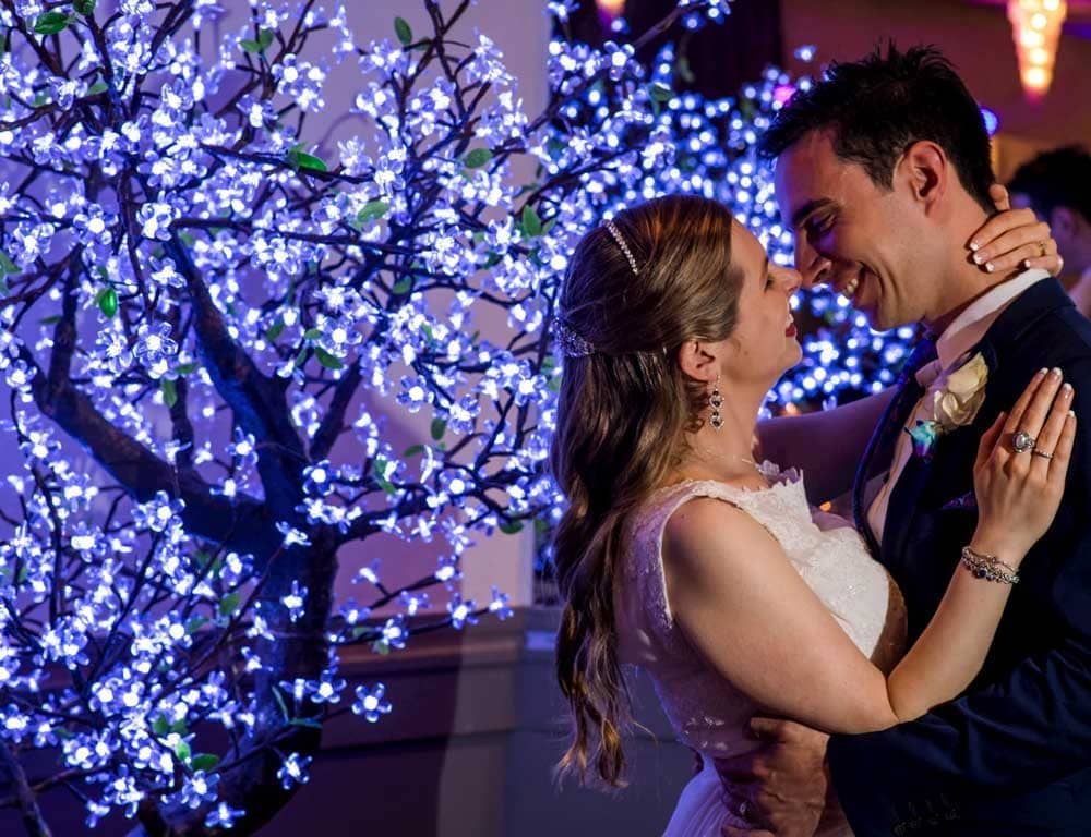LED Cherry Blossom Tree for Hire in Melbourne