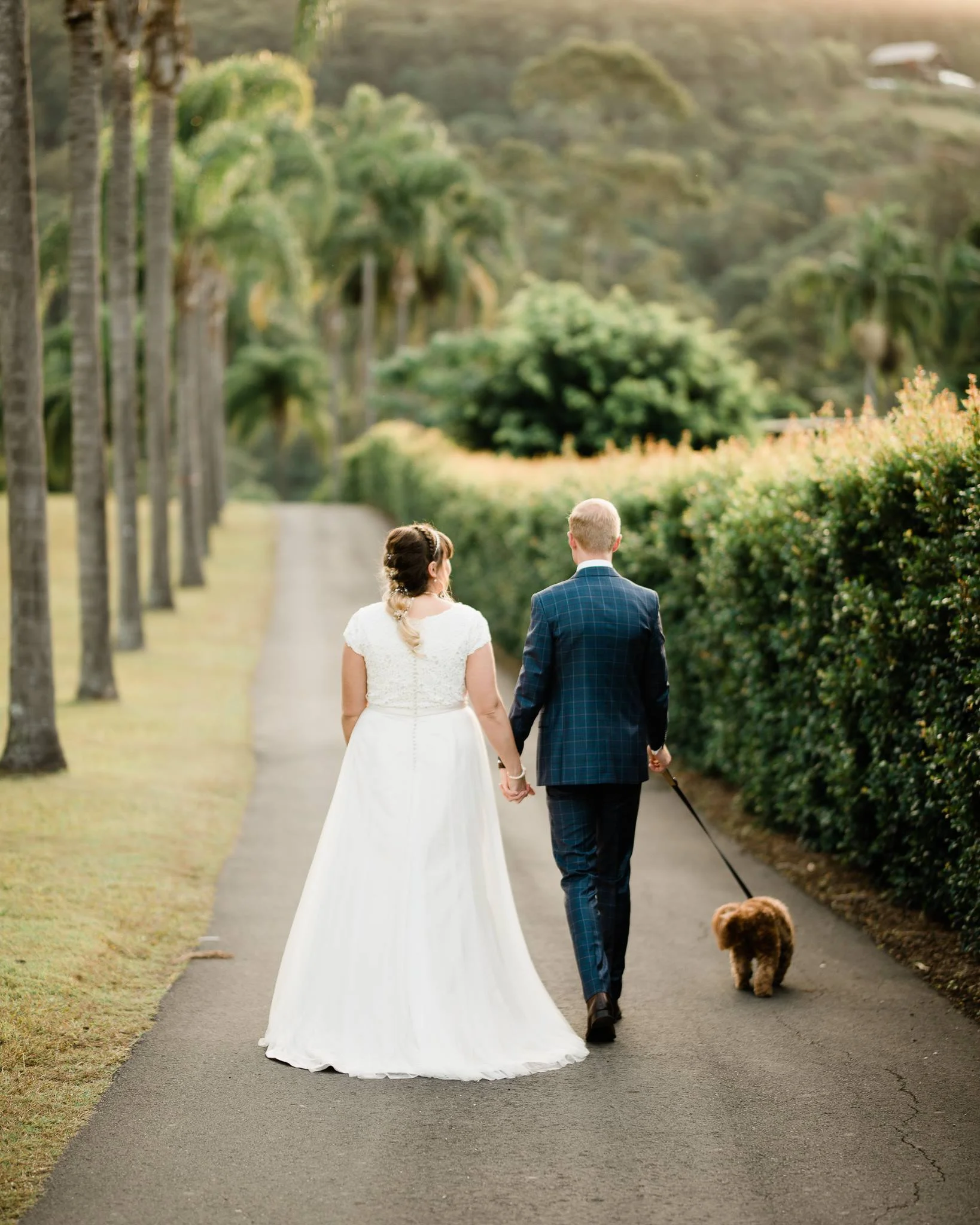 destination-wedding-venues-in-australia-Austinvilla-Estate-Mudgeeraba-Queensland-image-@stevedoylephotography