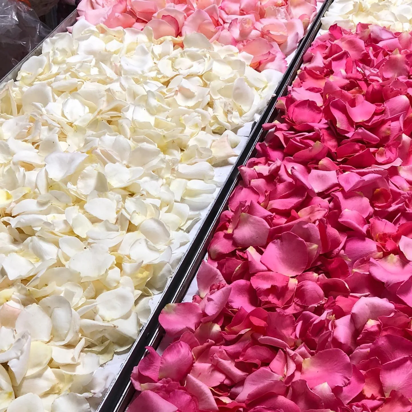 sustainable-wedding-ideas-confetti-Simply-Rose-Petals-Victoria2