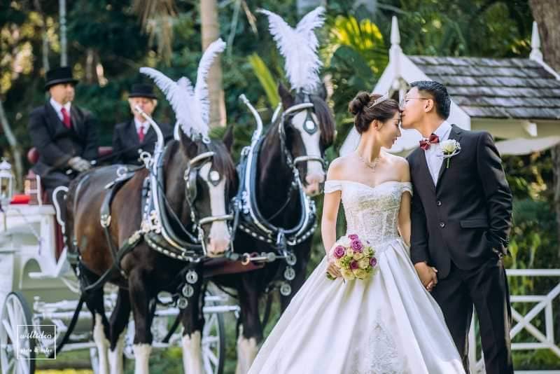 Wedding Cars Queensland Drayhorse Shires