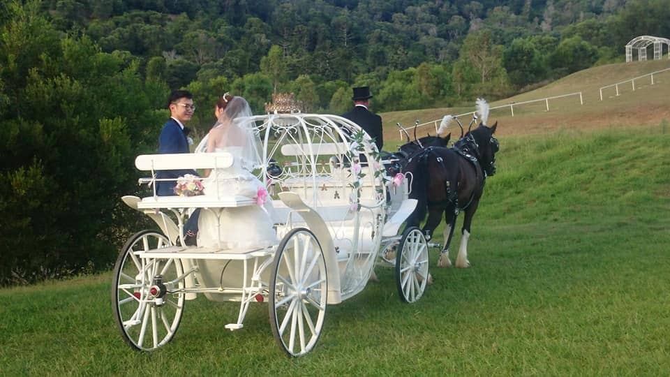 Wedding Cars Queensland Drayhorse Shires