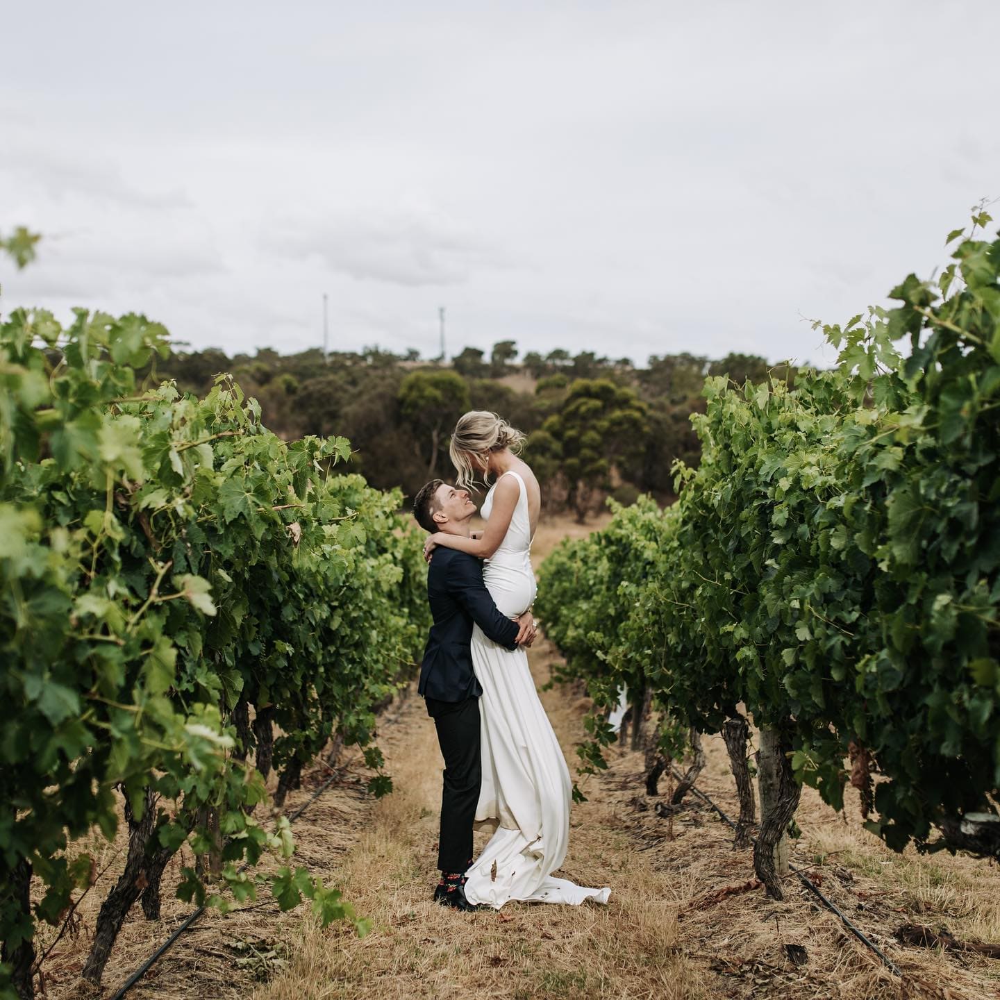 Wedding Venues South Australia Longview Vineyard