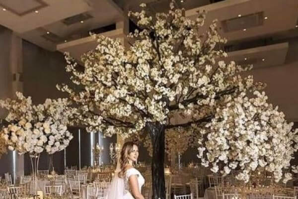 Cherry Blossom Trees for Hire