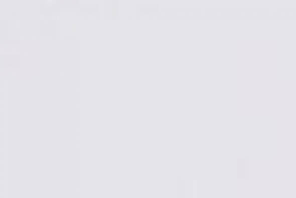 Long sleeve lace dress