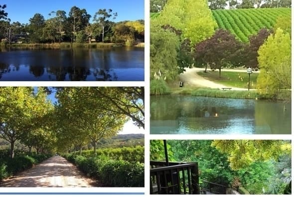 Adelaide-DJ-Services-@Kaipo-Forrest