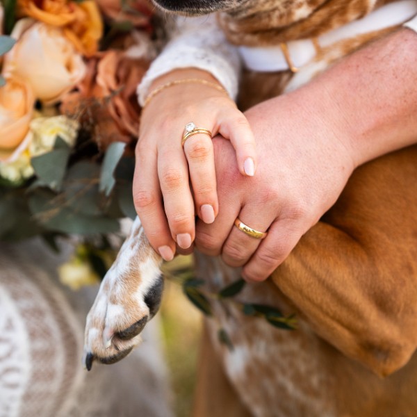 Alex and Sean Wedding