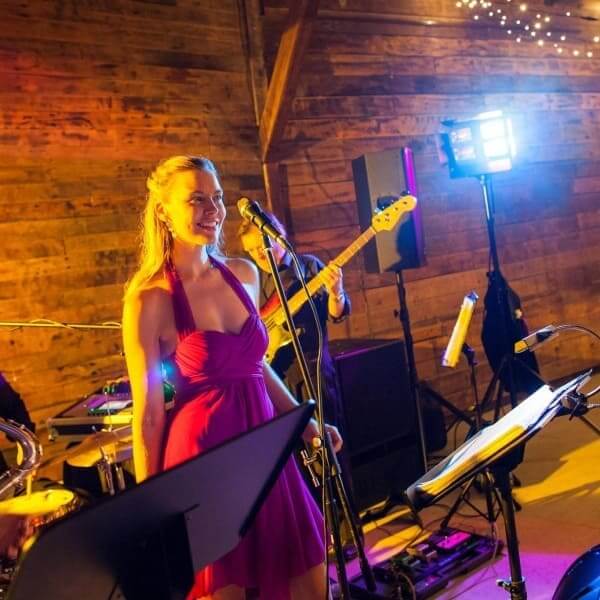 Andrea Allumay Wedding Musician