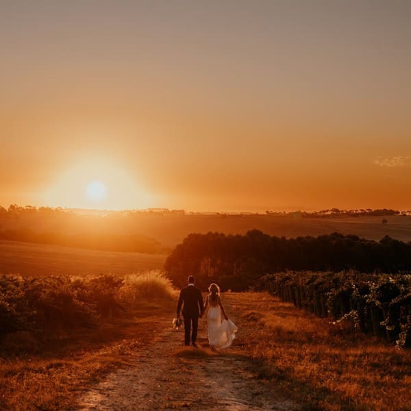 Nothing beats a golden hour. Caitlin & Josh 12/3/23