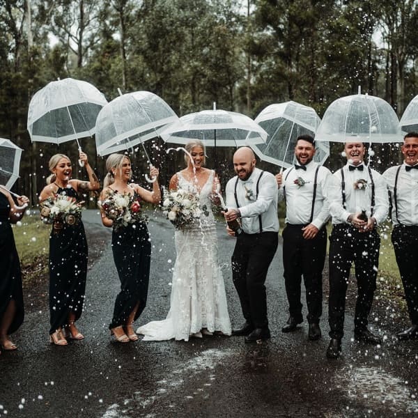 Photography - Translucent Photography