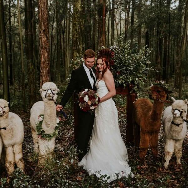 Photography - Translucent Photography