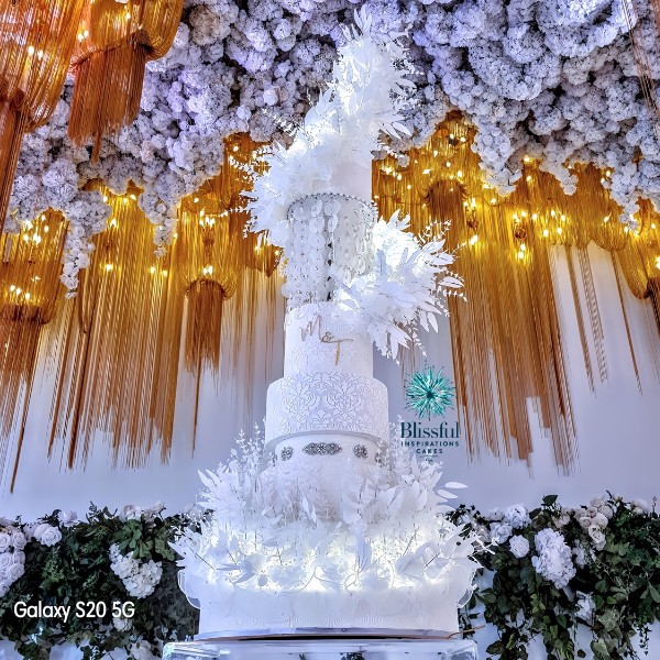 WHISPERS OF ELEGANCE -THE ENCHANTING WHITE FLOATING TIER WEDDING CAKE