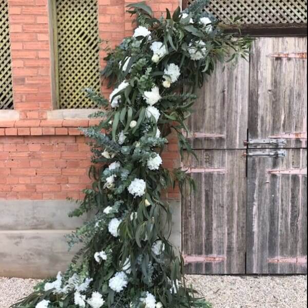 Framing that gorgeous door.