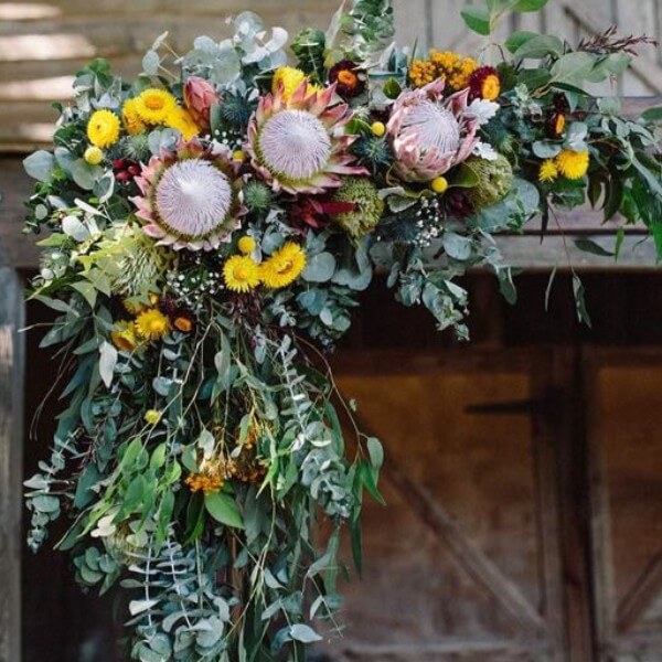 Colourful Natives at The Farm Yarra Valley (Photo by Cast in Colour)