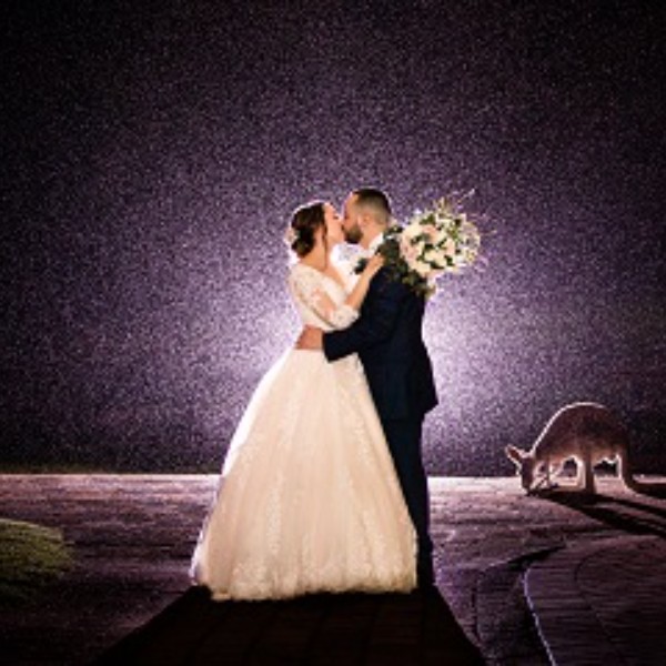 The Kangaroo Paddock after dark