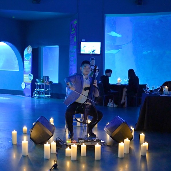 Gary - Sea Life Melbourne Aquarium