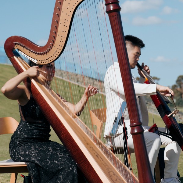 Violin Cello & Harp