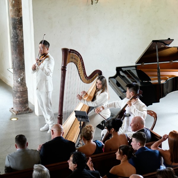 Violin cello harp ceremony 1