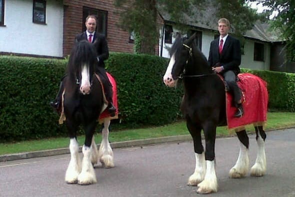 ridden horses supplied for bride or groom