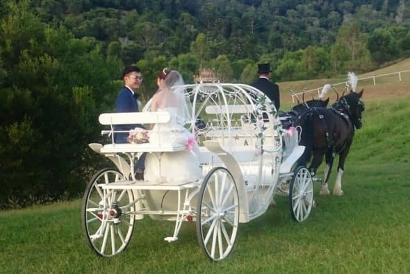 cinderella carriage
