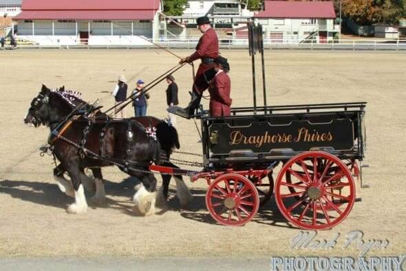 Brewery dray seats 8 people