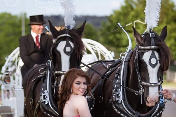Cinderella carriage