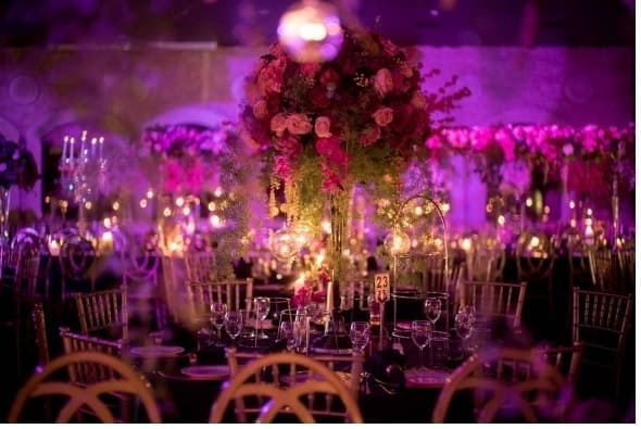 Plums and lights always give a romantic feel