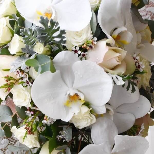 Orchid Cascade Bouquet