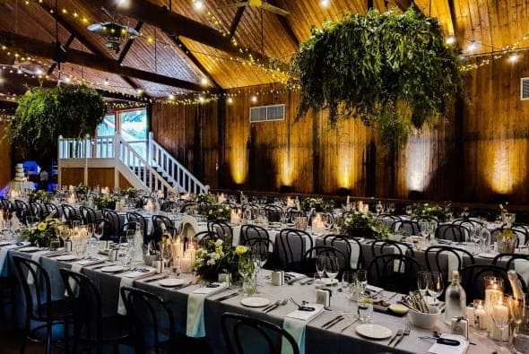 Pulpshed Single Long Row Setup