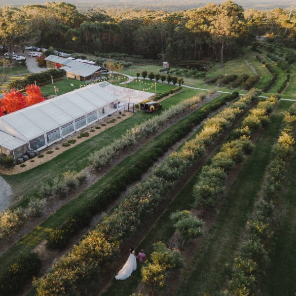 Growwwild Wildflower Farm Gardens