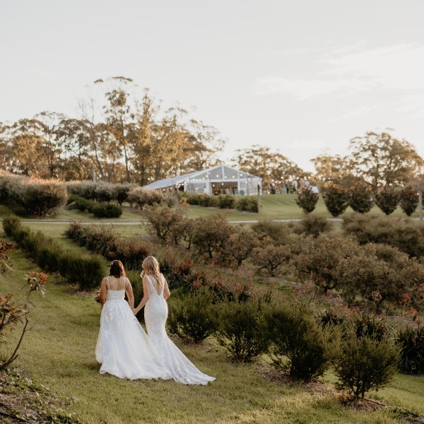 Sunset Shoot at the Flower Farm