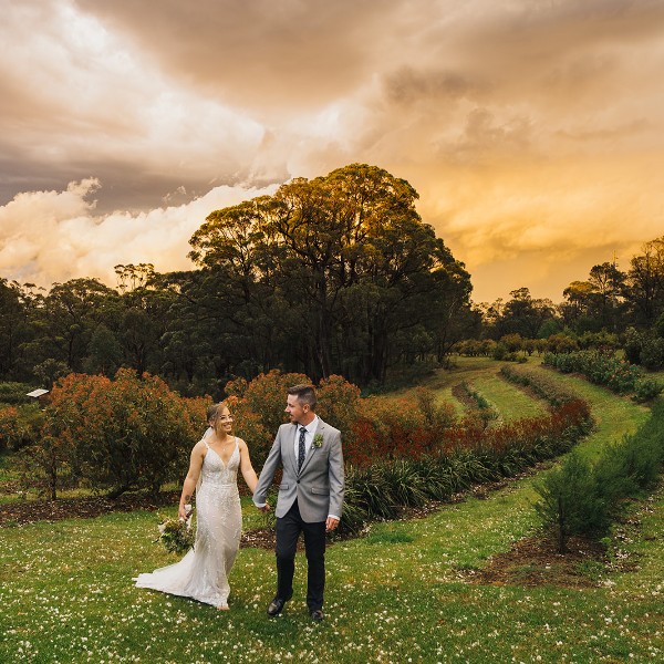 Sunset at the Growwild Wildflower Farm