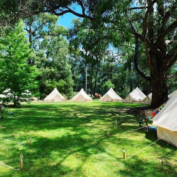 Bell tent village at Log Cabin Ranch Victoria