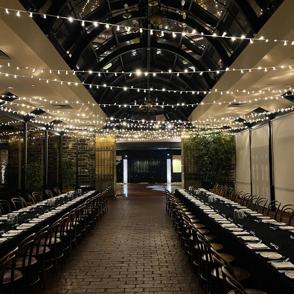 Wedding Fairy Lighting