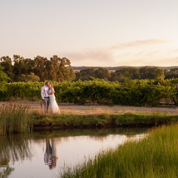 Sunset at The Vine Shed McLaren vale