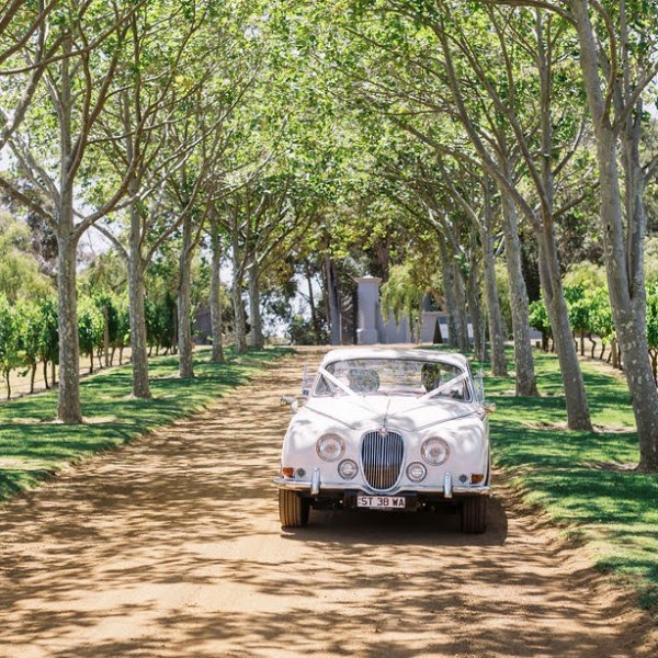 Our 63 S Type Jaguar photography by Katie- Grant Photographer