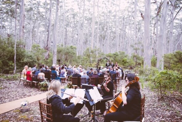 Performing at a wedding in the Boranup Forest, by Russell Ord Photography.