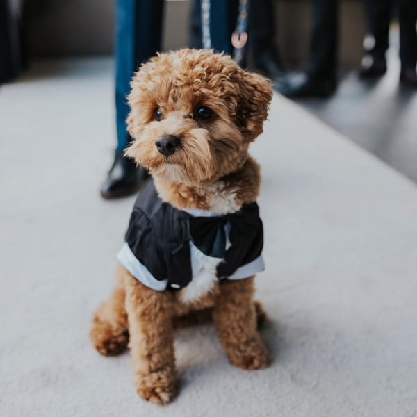 Life and Love Photography Sunshine Coast