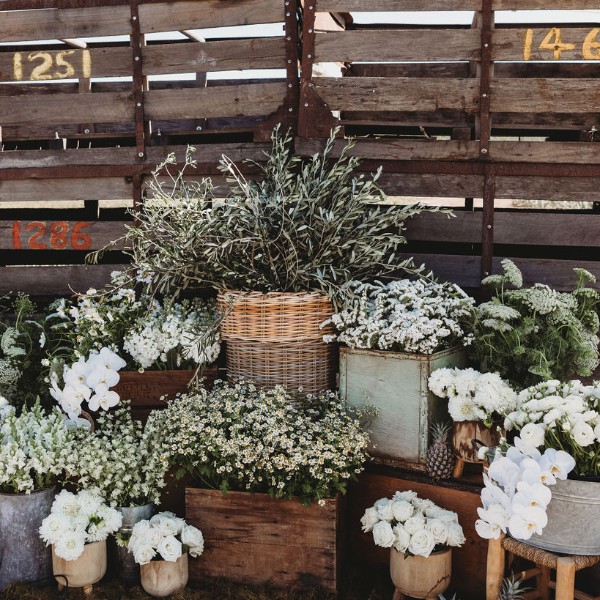 Pineapple Farm Wedding