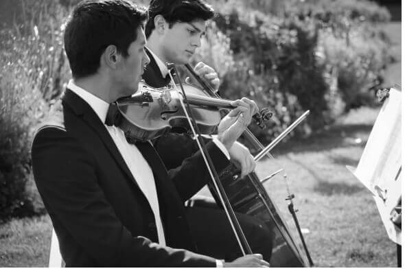 Limited Edition Strings- Duo, Trio and Quartet + Harpists