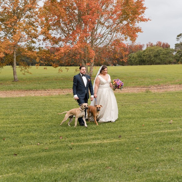 Wedding of Rebecca & Alex