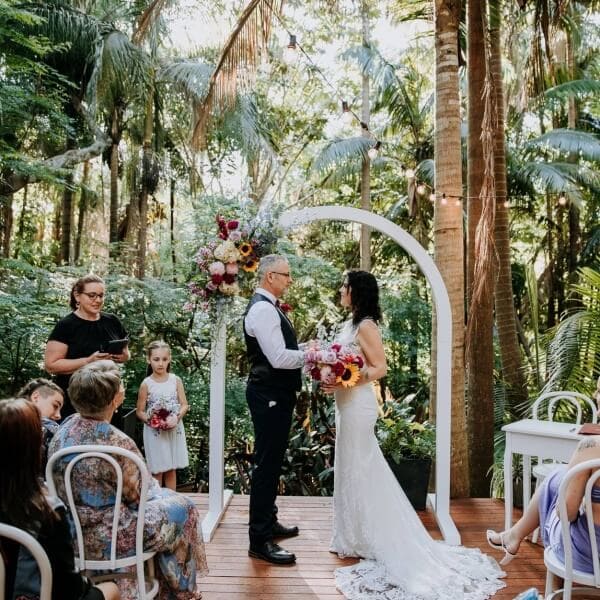 A beautiful rainforest setting