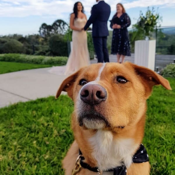 Furry Friends always welcome